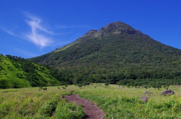 絵になる山容の由布岳